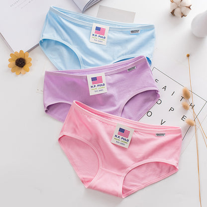 Shaper House Women Cotton Blend Fit Trendy Hipster Panties Comfy Women Briefs Pack Of 5
