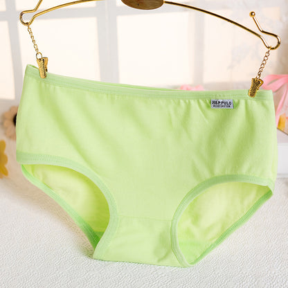 Shaper House Women Cotton Blend Fit Trendy Hipster Panties Comfy Women Briefs Pack Of 5